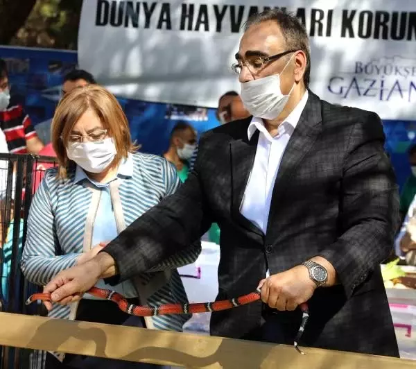 gaziantep hayvanat bahçesi köpek barınağı