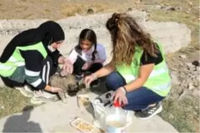 İpekyolu Belediyesinden 4 Ekim Dünya Hayvanları Koruma Günü etkinliği