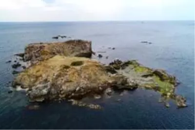 İstanbul'un ıssız adası İstanbul'un ıssız adası