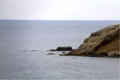 İstanbul'un ıssız adası İstanbul'un ıssız adası