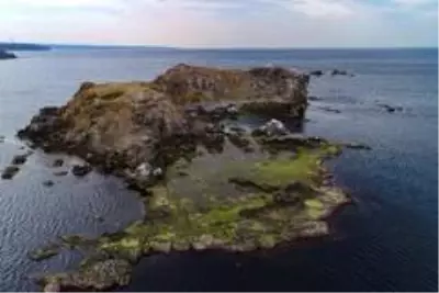 İstanbul'un ıssız adası İstanbul'un ıssız adası