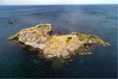 İstanbul'un ıssız adası İstanbul'un ıssız adası