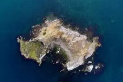 İstanbul'un ıssız adası İstanbul'un ıssız adası