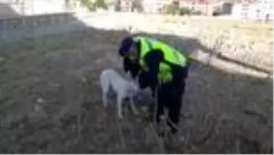 Son dakika! Kafası pet şişeye sıkışan sokak köpeği, jandarma ekiplerince kurtarıldı Son dakika! Kafası pet şişeye sıkışan sokak köpeği, jandarma ekiplerince kurtarıldı