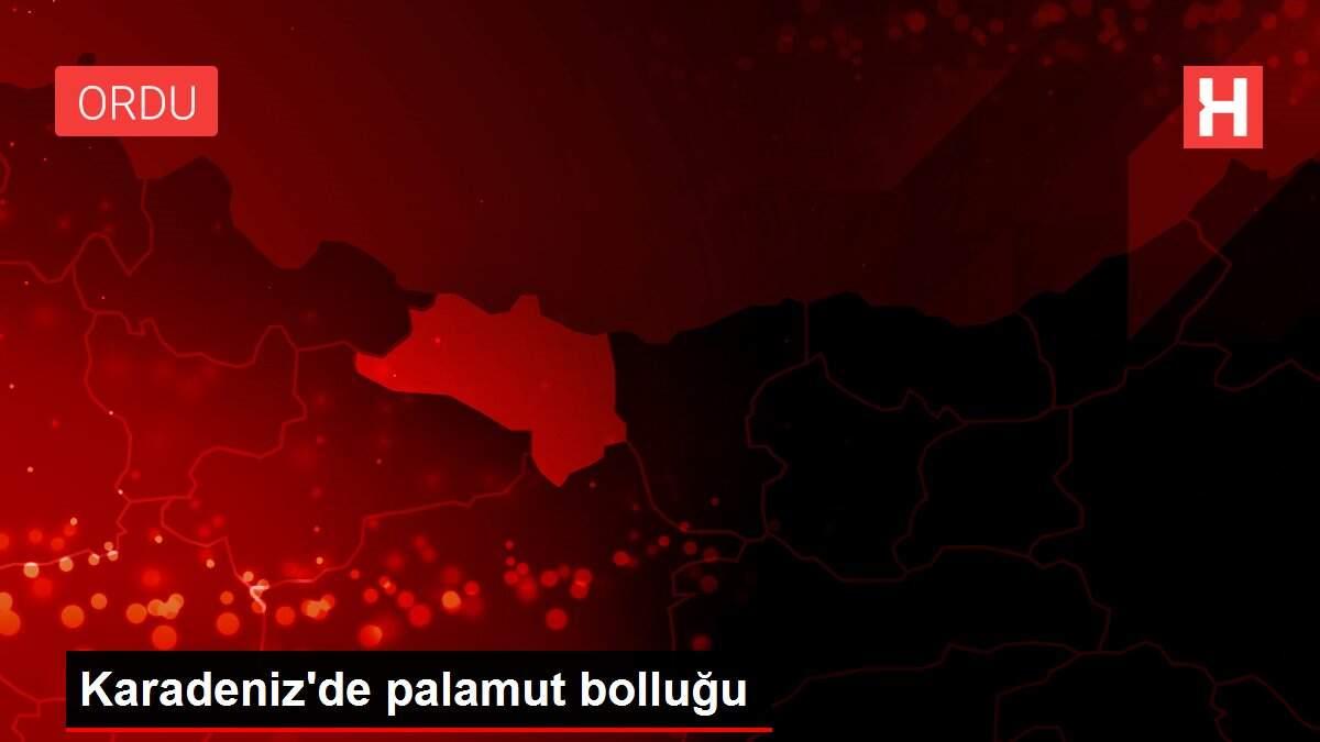 Karadeniz'de palamut bolluğu