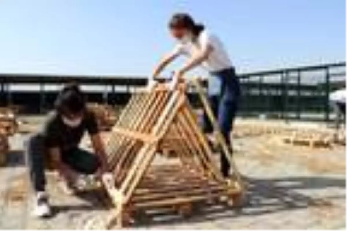 Liselilerden sokak hayvanları için kulübe