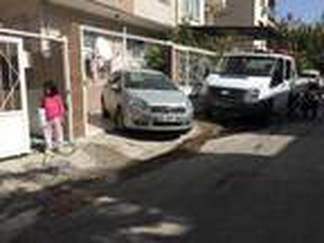 Son dakika haberleri: Mahallenin beslediği 'Jo', Hayvanları Koruma Günü'nde kurşunlandı