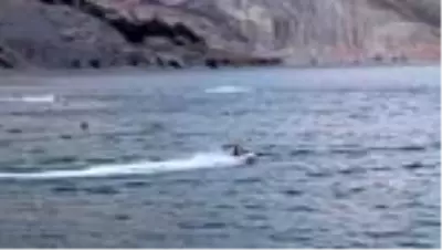 'Palandöken'den Uzundere'ye 1. Ulusal Doğa ve Su Sporları Festivali' tamamlandı 'Palandöken'den Uzundere'ye 1. Ulusal Doğa ve Su Sporları Festivali' tamamlandı