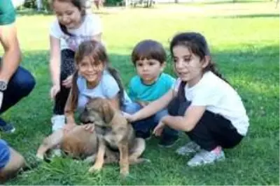 Samsun Büyükşehir ile OMÜ arasında 'sokak hayvanları protokolü' Samsun Büyükşehir ile OMÜ arasında 'sokak hayvanları protokolü'