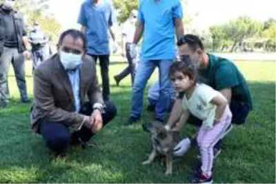 Samsun Büyükşehir ile OMÜ arasında 'sokak hayvanları protokolü' Samsun Büyükşehir ile OMÜ arasında 'sokak hayvanları protokolü'