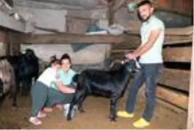 Şehir hayatını bıraktı, 'küçük dünyam' dediği köye yerleşti Şehir hayatını bıraktı, 'küçük dünyam' dediği köye yerleşti