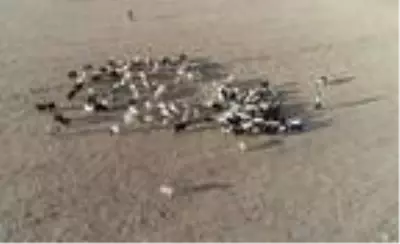 Şehir hayatını bıraktı, 'küçük dünyam' dediği köye yerleşti Şehir hayatını bıraktı, 'küçük dünyam' dediği köye yerleşti