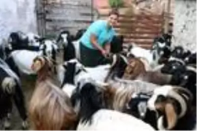 Şehir hayatını bıraktı, 'küçük dünyam' dediği köye yerleşti Şehir hayatını bıraktı, 'küçük dünyam' dediği köye yerleşti