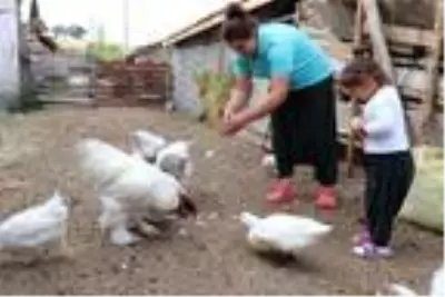 Şehir hayatını bıraktı, 'küçük dünyam' dediği köye yerleşti Şehir hayatını bıraktı, 'küçük dünyam' dediği köye yerleşti