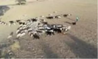 Şehir hayatını bıraktı, 'küçük dünyam' dediği köye yerleşti Şehir hayatını bıraktı, 'küçük dünyam' dediği köye yerleşti
