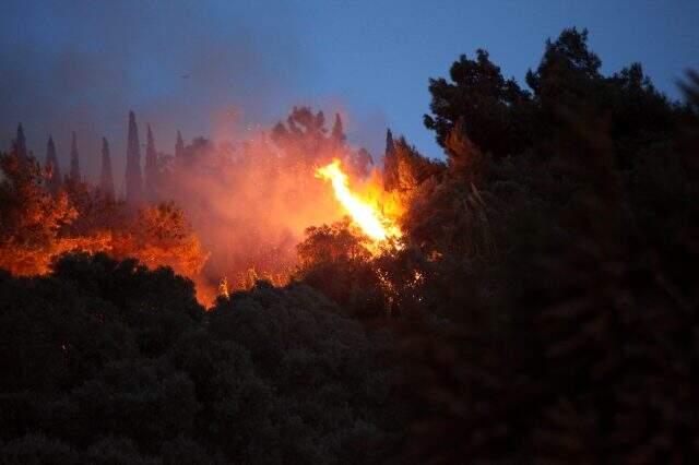 Söke'de zeytinlik alanda çıkan yangın kısa sürede söndürüldü