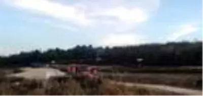 Son dakika! Tekirdağ'da ağaçlık alanda yangın Son dakika! Tekirdağ'da ağaçlık alanda yangın