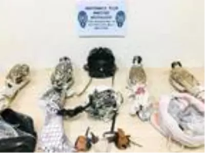 Tuzakla yırtıcı kuşları yakalayan 3 kişiye 176 bin lira ceza