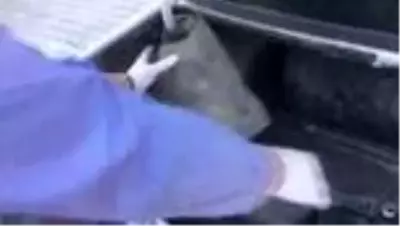 Yabani hayvan kaçakçısı 3 kişiye 176 bin lira ceza Yabani hayvan kaçakçısı 3 kişiye 176 bin lira ceza