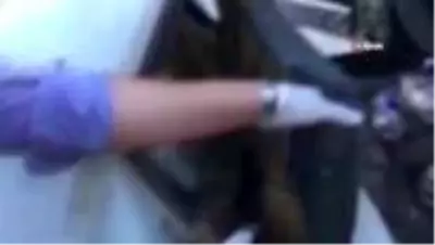 Yırtıcı kuş kaçakçıları suçüstü yakalandı