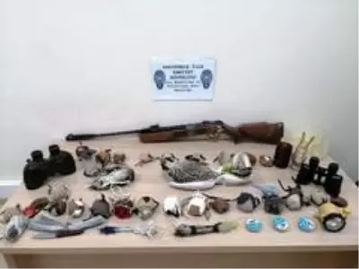 Yırtıcı kuş kaçakçıları suçüstü yakalandı