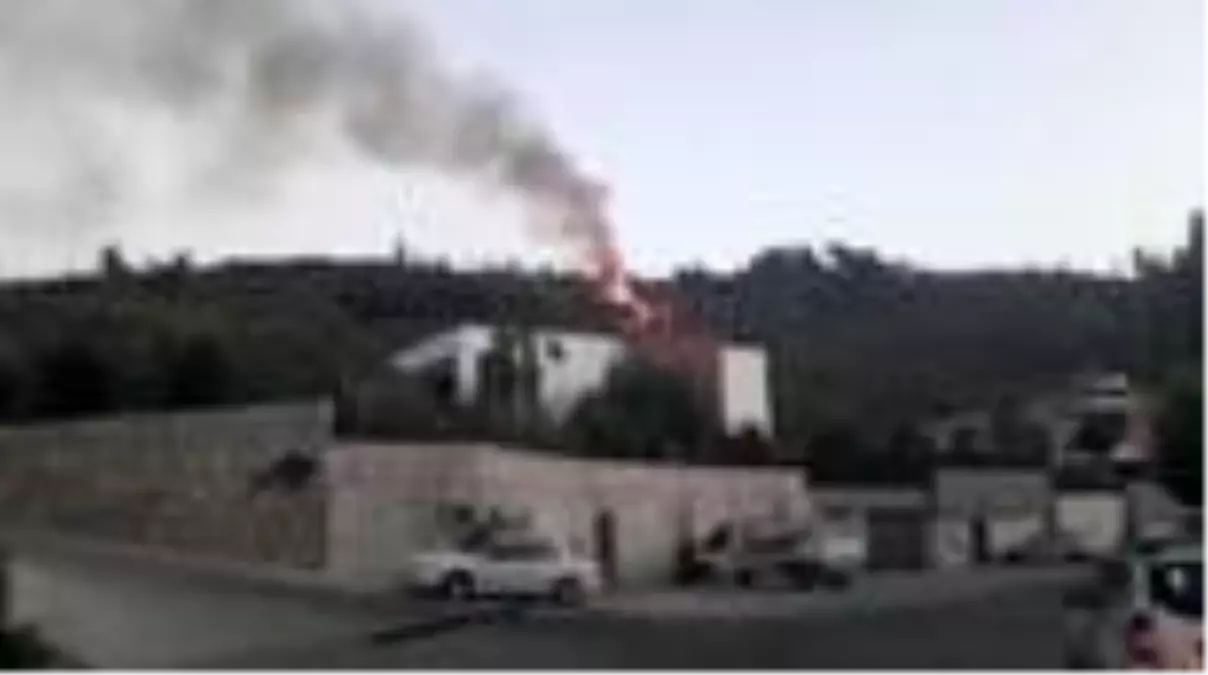 Zeytinlik alanda yangın (2)