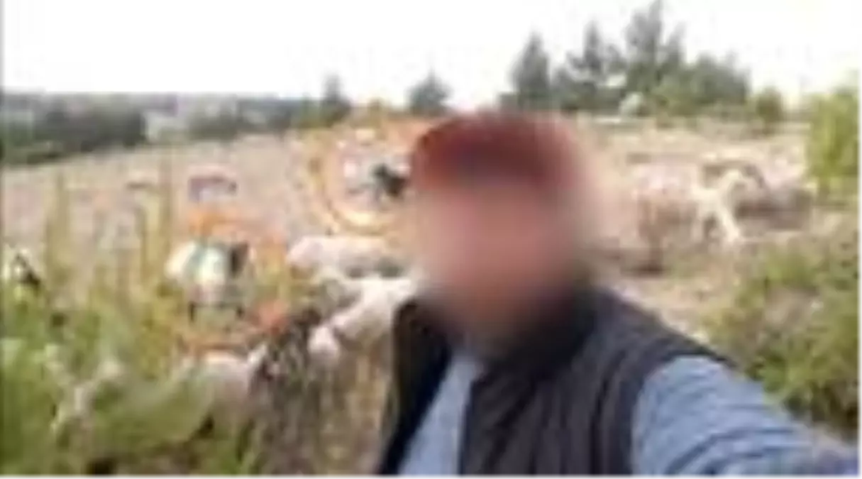 Sosyal medyada paylaşılan fotoğraf 9 ay önceki hayvan hırsızlığını çözdü