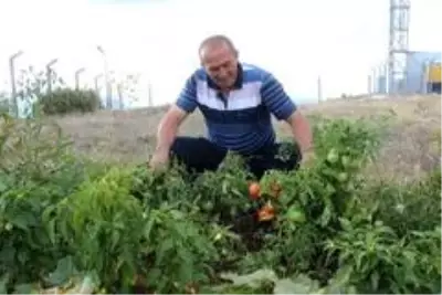 Aylardır 24 saat Uludağ'ı gözlüyor