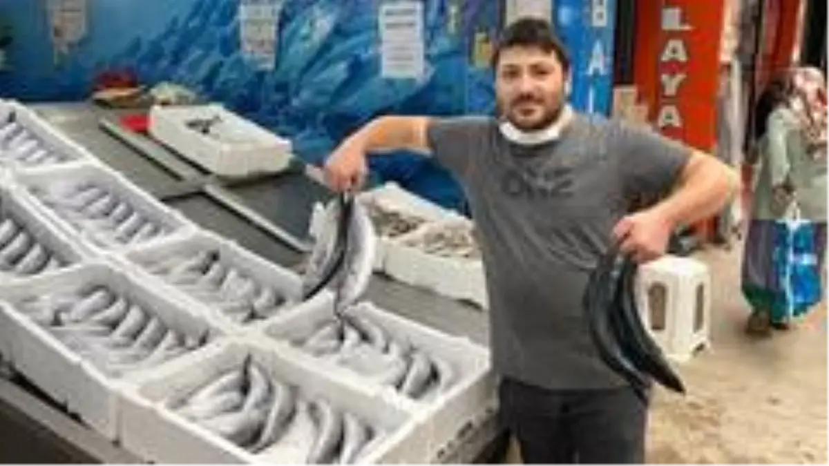 Balıkçıların yüzünü palamut güldürdü