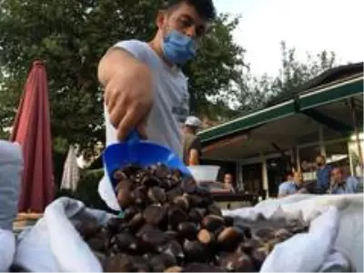 Bartın kestanesi pazardaki yerini aldı