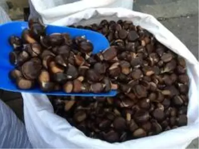 Bartın kestanesi pazardaki yerini aldı