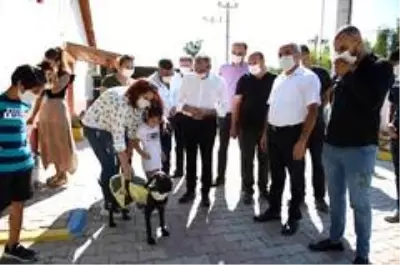 Bozdoğan: 'Dünyayı paylaştığımız dostlarımıza her gün sahip çıkalım' Bozdoğan: 'Dünyayı paylaştığımız dostlarımıza her gün sahip çıkalım'