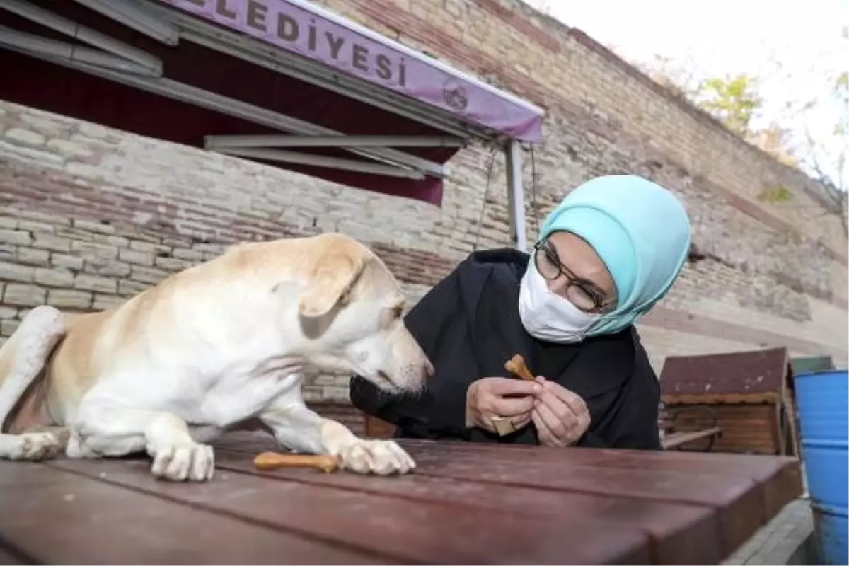 Son dakika haberleri&hellip; EMİNE ERDOĞAN�IN ENGELLİ KÖPEK �LEBLEBİ�Yİ