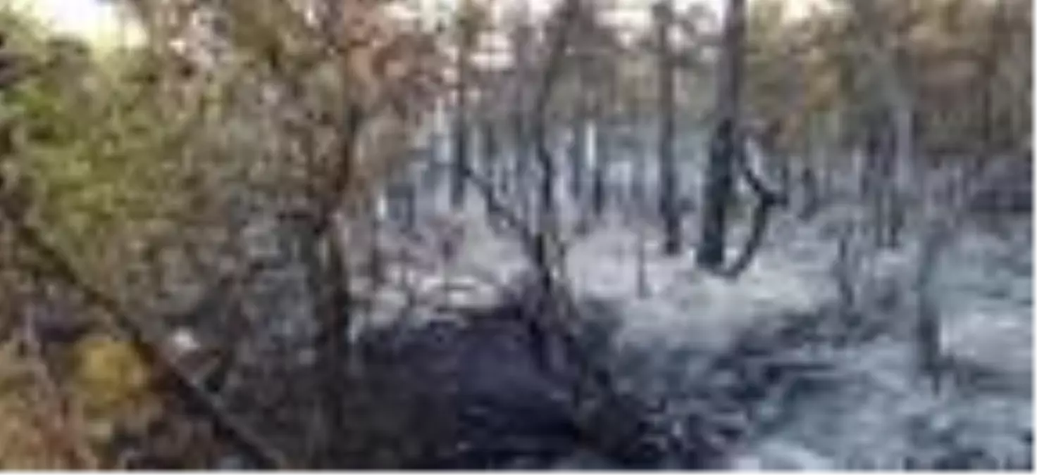 Son Dakika | Ermenek'te, evde çıkan yangın ormana sıçradı (2)