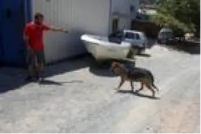 Köpeklerin bulduğu kafatasının kayıp boya ustasına ait olduğu belirlendi Köpeklerin bulduğu kafatasının kayıp boya ustasına ait olduğu belirlendi