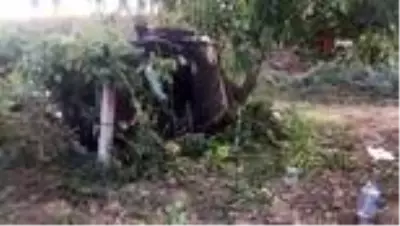 Manisa'da hafif ticari araç üzüm bağına uçtu: 2 yaralı