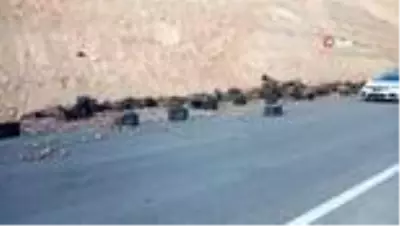 Son dakika haber... Mersin'de elma yüklü kamyon devrildi: 1 ölü