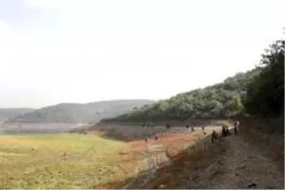 Mimar Sinan Şehir Ormanı'na kadın eli değdi Mimar Sinan Şehir Ormanı'na kadın eli değdi