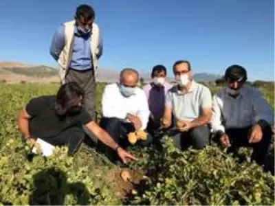 MŞÜ patates ve pancar üretiminde deneme ekimleri yaptı MŞÜ patates ve pancar üretiminde deneme ekimleri yaptı