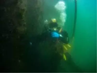 Su altının görünmeyen işçileri Su altının görünmeyen işçileri