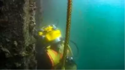 Su altının görünmeyen işçileri Su altının görünmeyen işçileri