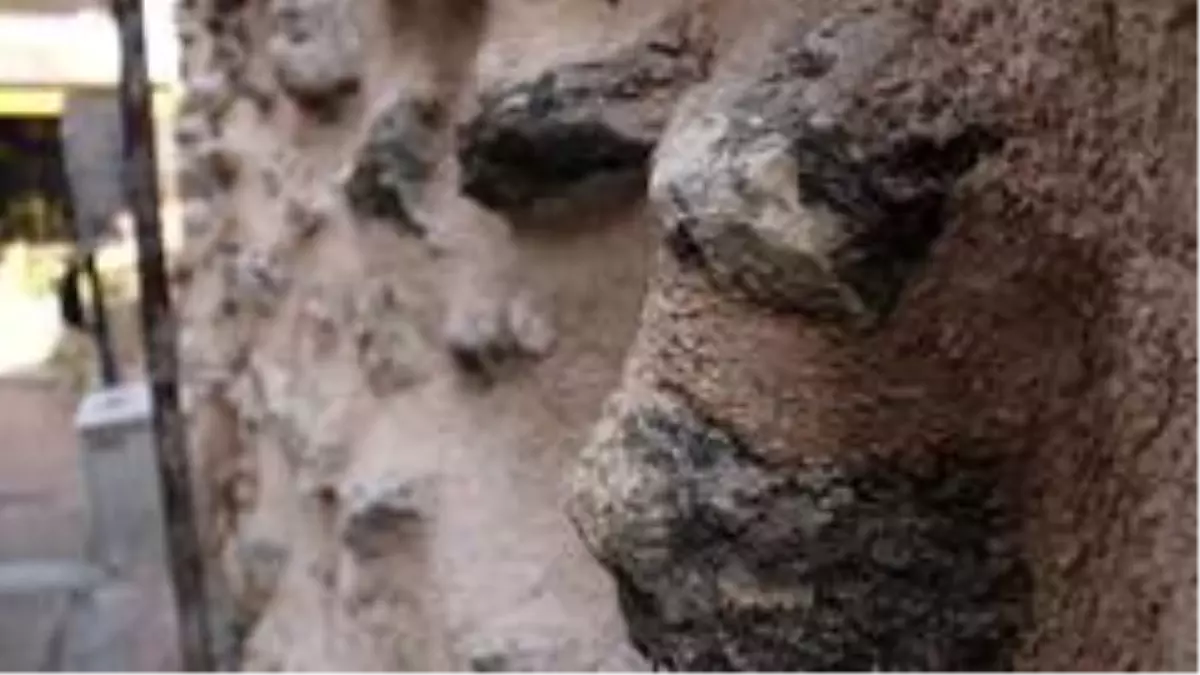 Tarihi kapıda gelişigüzel onarım