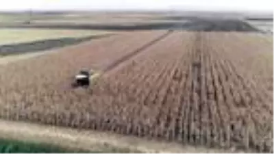 Tarım Kredi Kooperatifleri Genel Müdürü: Her alanda kendi göbeğimizi kendimiz kesmemiz lazım Tarım Kredi Kooperatifleri Genel Müdürü: Her alanda kendi göbeğimizi kendimiz kesmemiz lazım