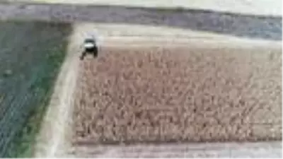 Tarım Kredi Kooperatifleri Genel Müdürü: Her alanda kendi göbeğimizi kendimiz kesmemiz lazım Tarım Kredi Kooperatifleri Genel Müdürü: Her alanda kendi göbeğimizi kendimiz kesmemiz lazım