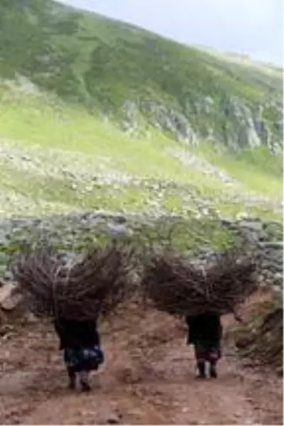 Yaylalarda yıkım ve denetimlerle kaçak yapılaşma durdu Yaylalarda yıkım ve denetimlerle kaçak yapılaşma durdu