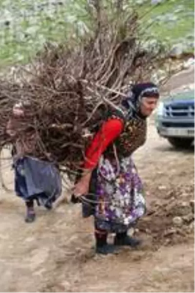 Yaylalarda yıkım ve denetimlerle kaçak yapılaşma durdu Yaylalarda yıkım ve denetimlerle kaçak yapılaşma durdu