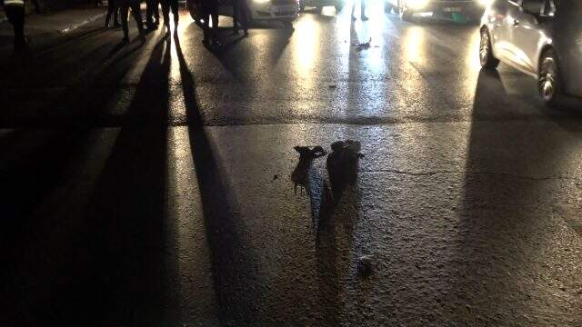 Arnavutköy'de otomobilin çarptığı genç kız kamyonun altında kalarak can verdi