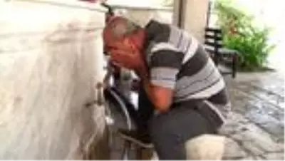 Aydın'da 77 yıllık sıcaklık rekoru kırıldı