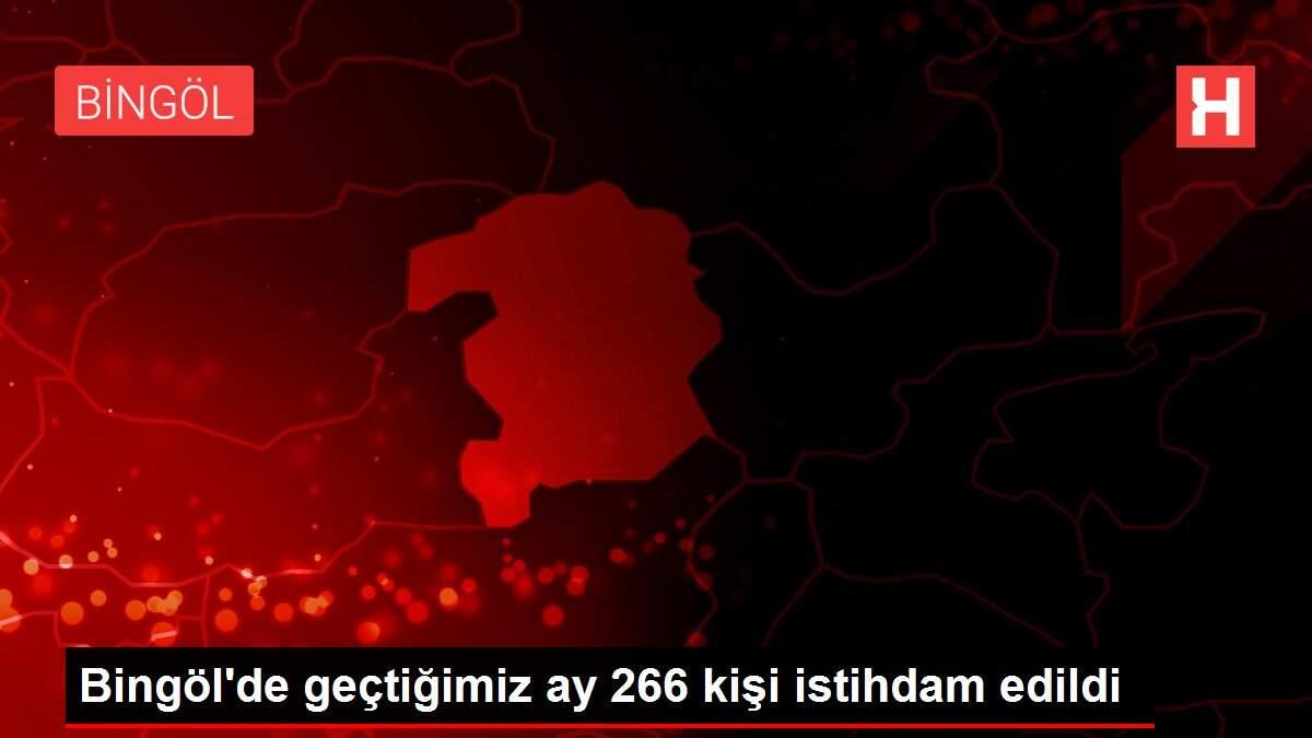 Bingöl'de geçtiğimiz ay 266 kişi istihdam edildi