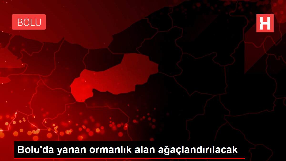 Yanan ormanlık alan ağaçlandırılacak